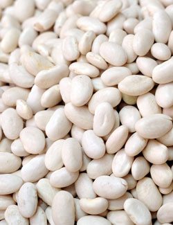 Navy Beans