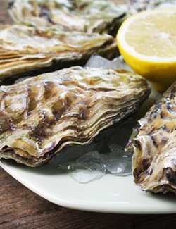 Oysters are High in Iron