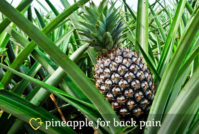 Pineapple for Back Pain