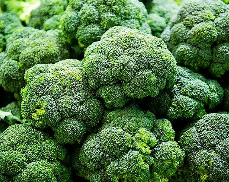 broccoli 1