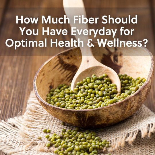 How Much Fiber Should You Have Everyday Healthwholeness