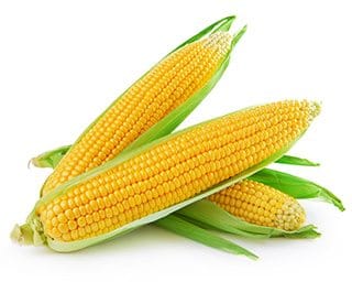 corn