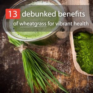 13 Debunked Benefits Of Wheatgrass For Vibrant Health - Healthwholeness