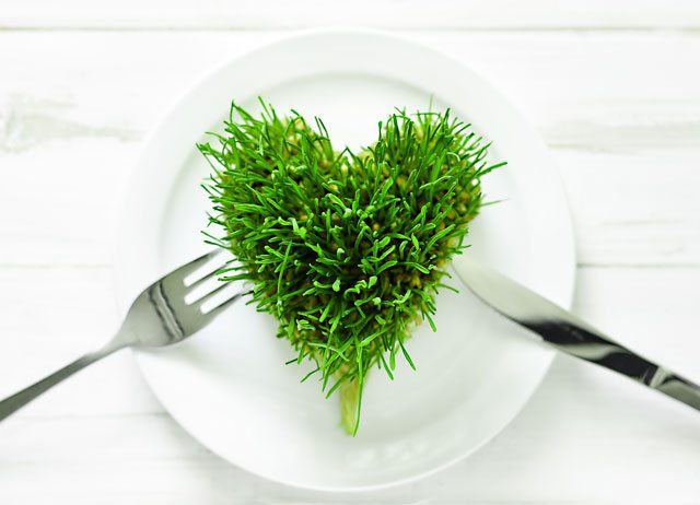 wheatgrass health