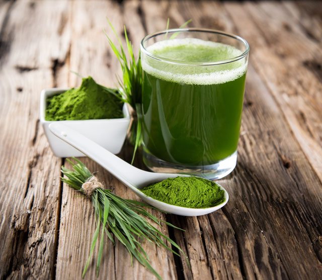 wheatgrass powder