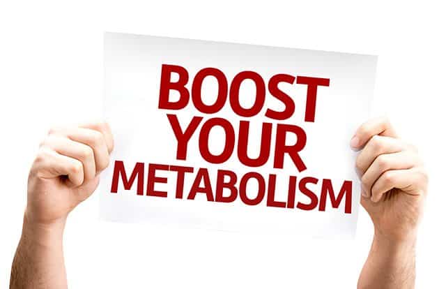 Fasting boosts metabolism