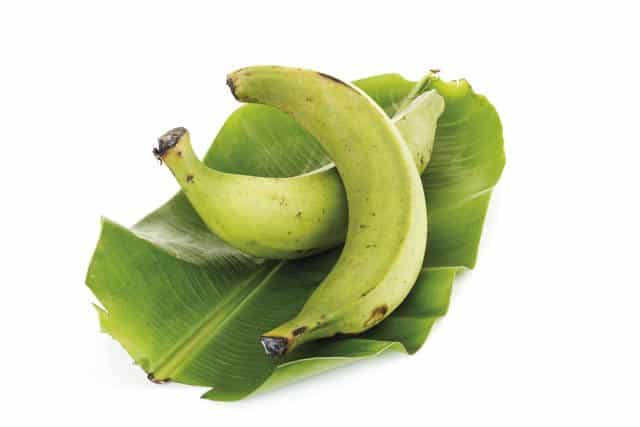 prebiotic plantain