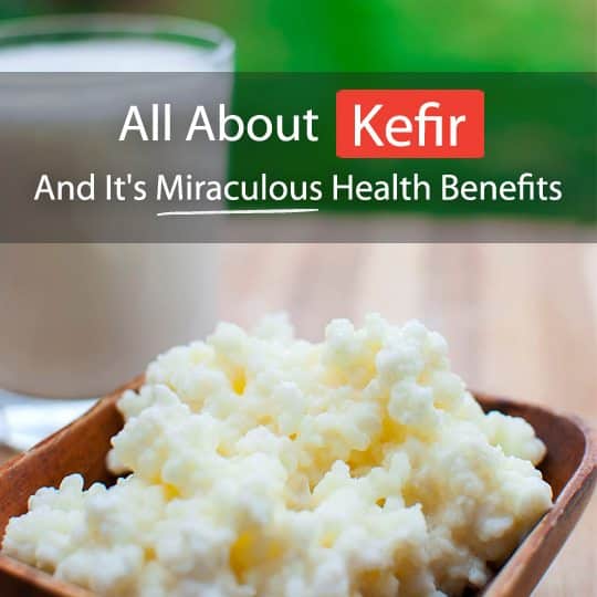 Kefir is one of the most potent probiotics around. Read on to find out how to make it, its numerous health benefits and some easy recipes!