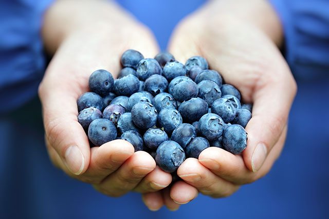 Blueberries for memory