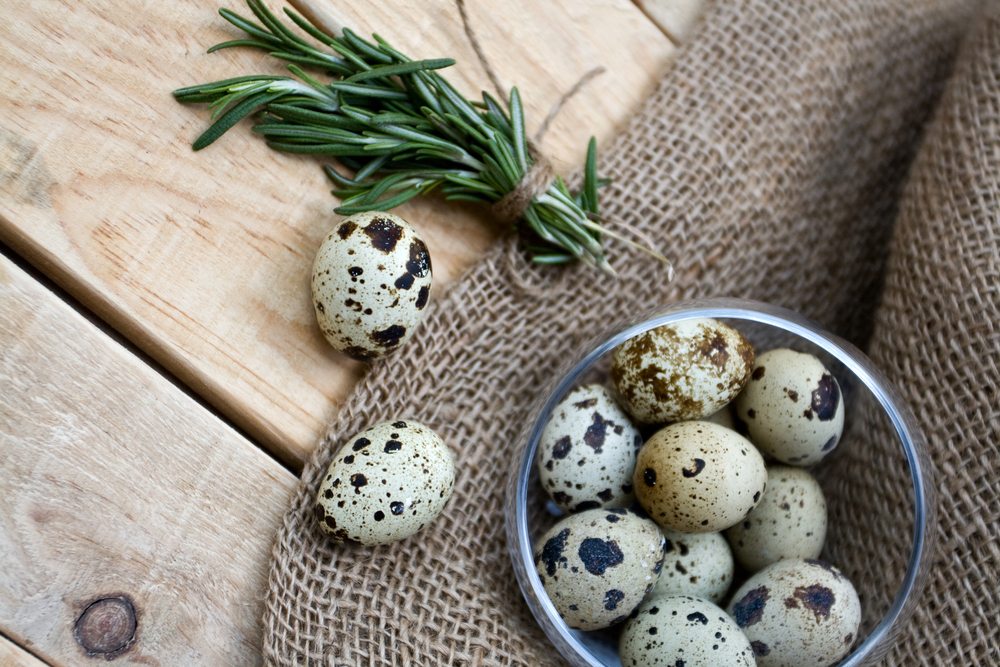 Quail eggs