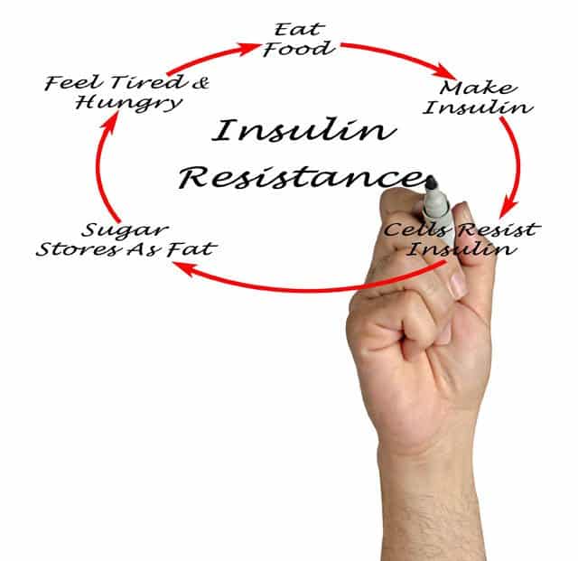 HFCS and insulin resistance