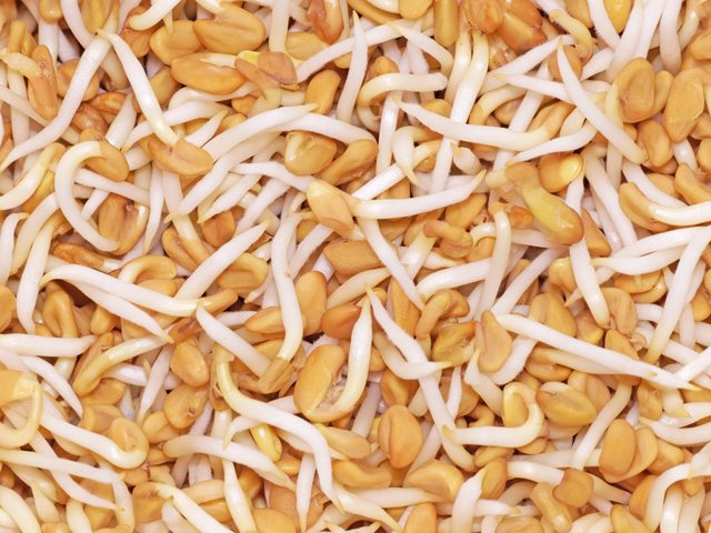 Fenugreek benefits