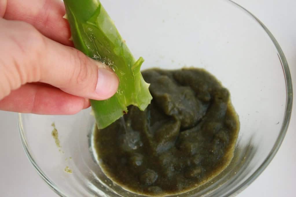 Seaweed Mask Recipe