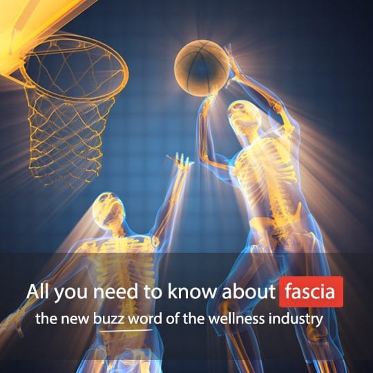 Find out all you need to know about fascia, and why it is so important...