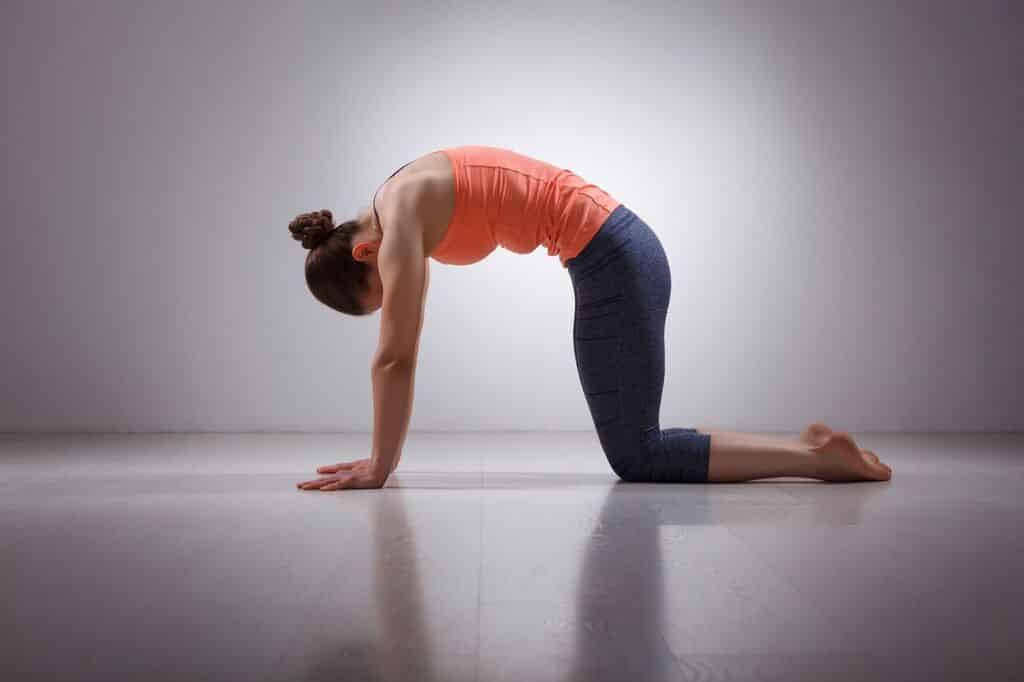 Yoga for digestion 2