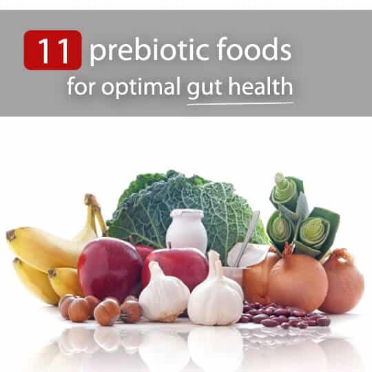 prebiotic foods