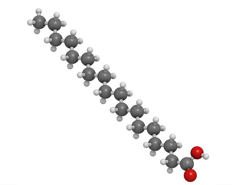 Saturated Fat Molecules