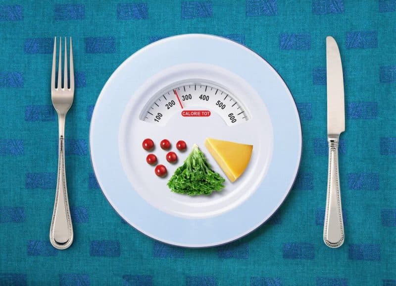 calorie restriction