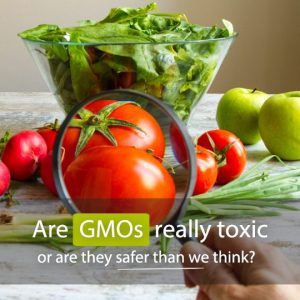 Are GMOs Really Toxic, Or Are They Safer Than We Think? - Healthwholeness