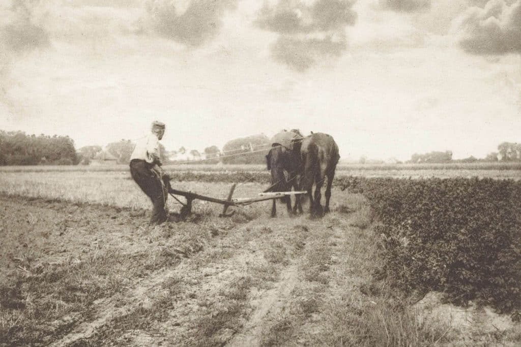 Traditional farming