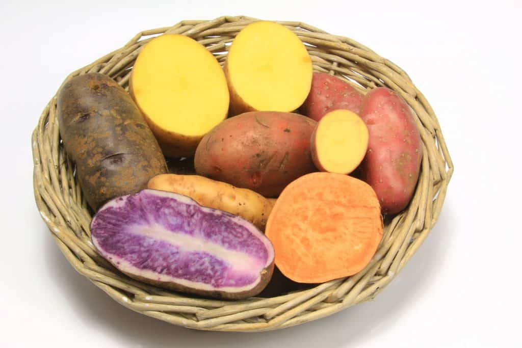 Top 6 Health Benefits Of Sweet Potatoes Decadently Healthy Recipes   Sweet Potato Brain 