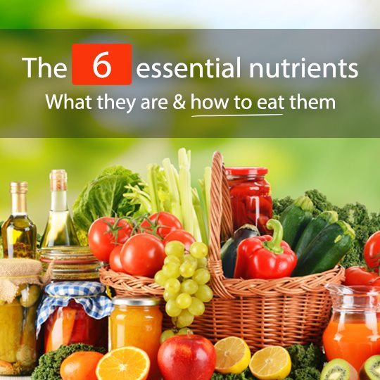 Understanding The 6 Essential Nutrients & How To Consume Them