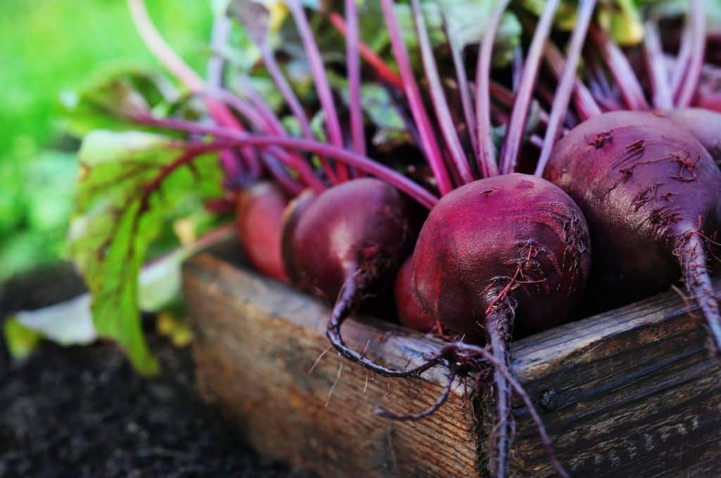 Benefits of beetroot