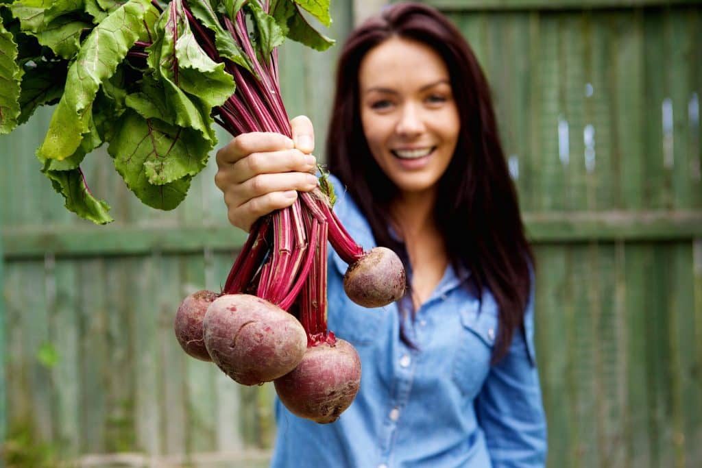 Nutritional value of beets