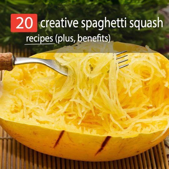 Looking for a healthier pasta alternative? Try spaghetti squash! Find out the benefits of eating this humble veggie. Plus, 20 creative spaghetti squash recipes!