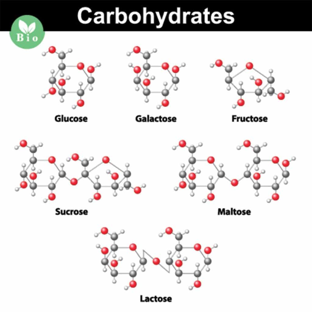 carbohydrates on the low-FODMAP diet