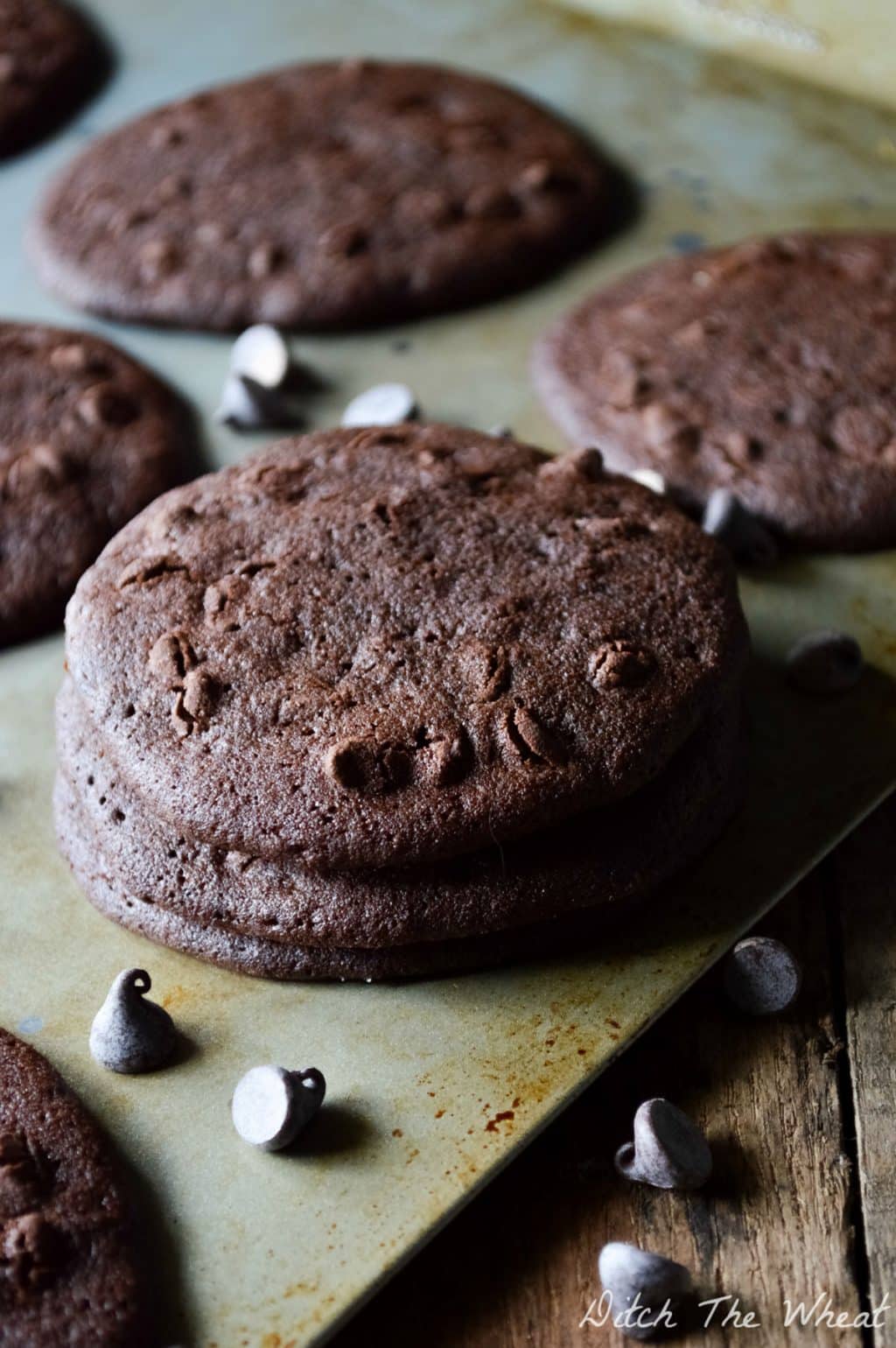 Double-Chocolate-Chip-Coconut-Flour-Cookies