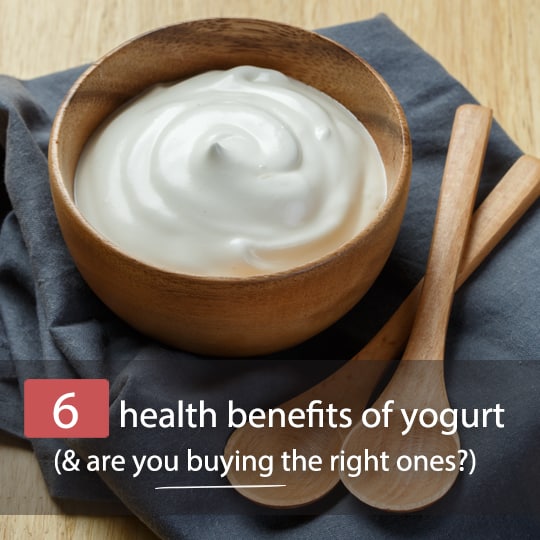 The Top 6 Healing Health Benefits Of Yogurt And Are You Buying The Right Ones Healthwholeness 