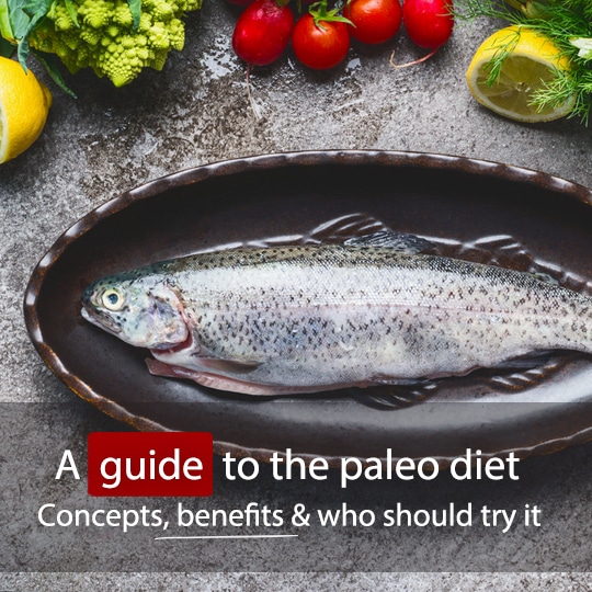 Find out what you can and can't eat on the paleo diet and whether it would suit you!