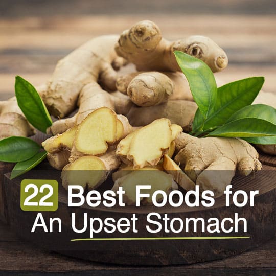 22 Best Foods for An Upset Stomach