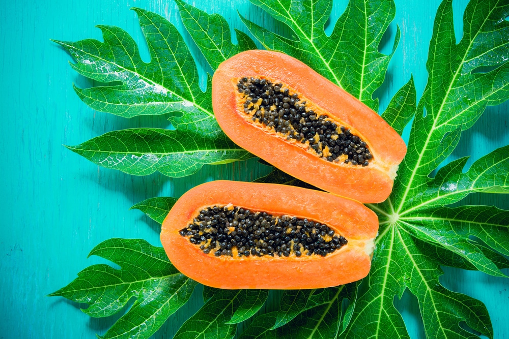 Papaya food for upset stomach